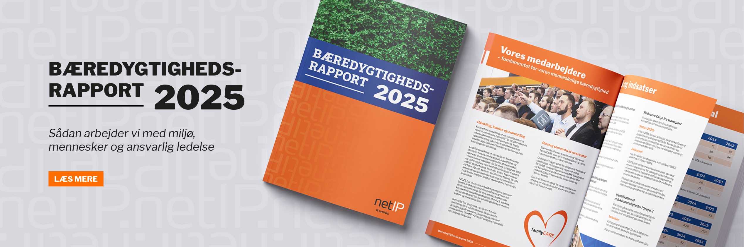 netIP offentliggør bæredygtighedsrapport for 2025